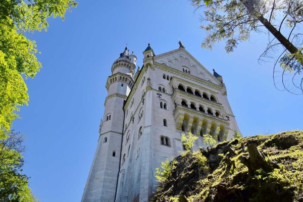 楼宇自控系统，成人快猫官网建筑，高效管理，智能化，信息技术